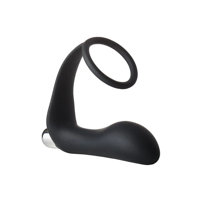 Fantasstic Vibrating Anal Plug With Cock Ring Dream Toys Male Sex Toys