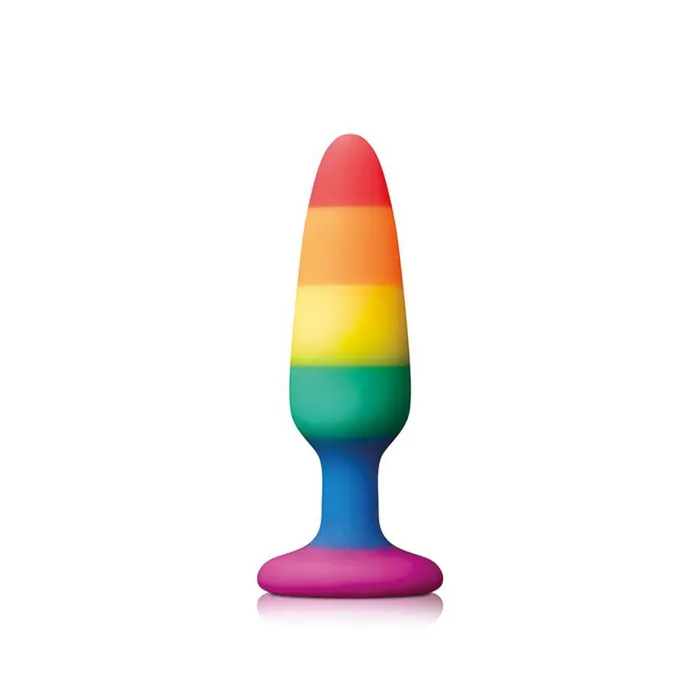 Pride Pleasure Plug Rainbow Small NS Novelties Anal