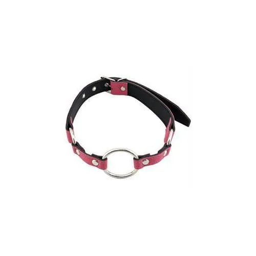 Rouge Garments O Ring Gag Pink Rouge Garments Vibrators