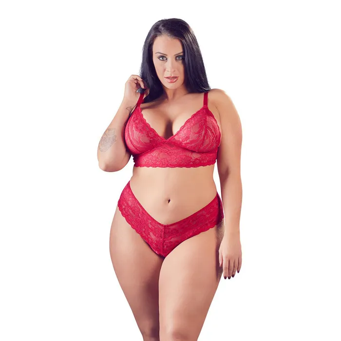 So Luxe Plus Size Cottelli Plus Size Red Lace Bra And Briefs