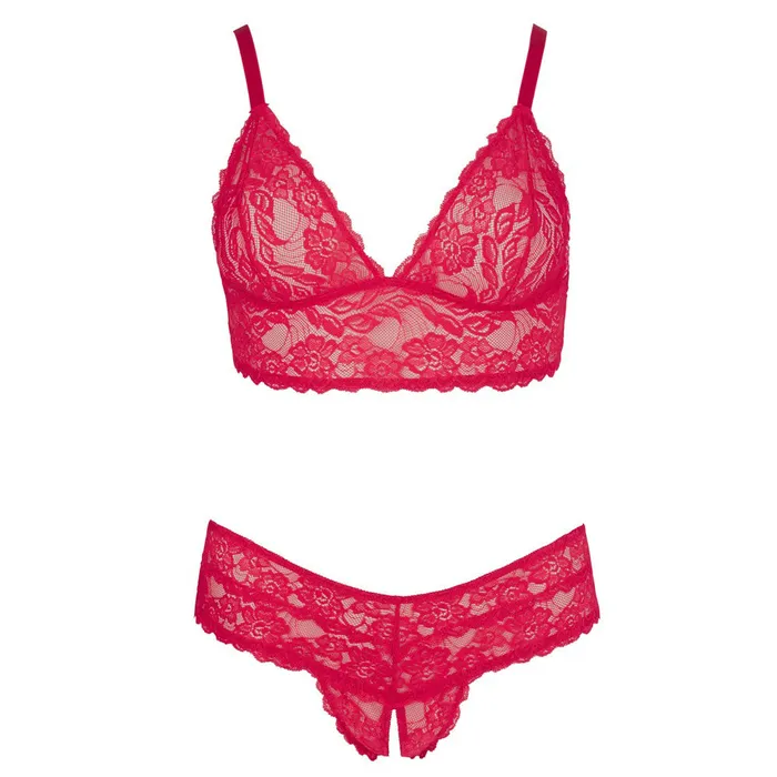 So Luxe Plus Size Cottelli Plus Size Red Lace Bra And Briefs