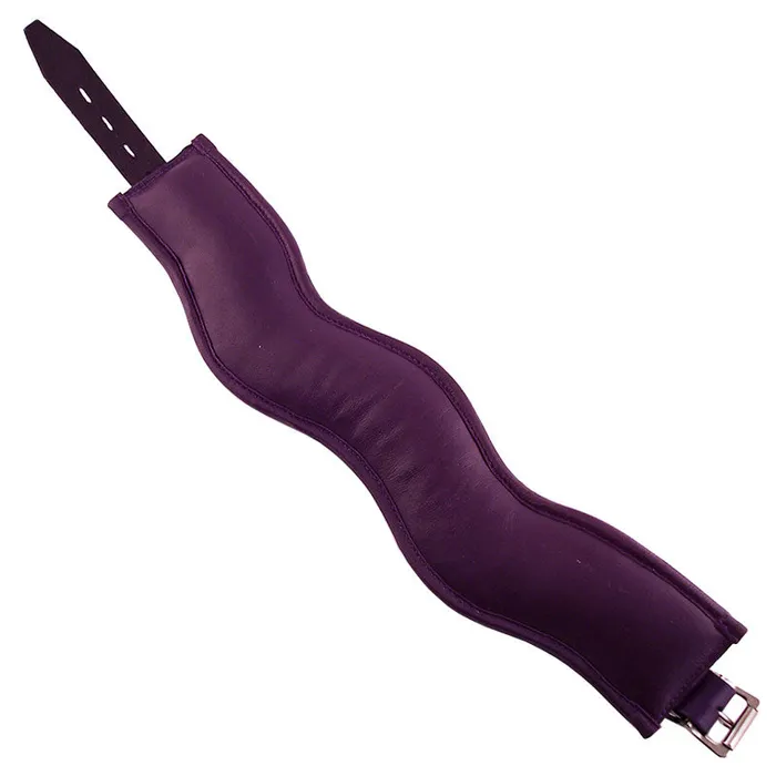Vibrators Rouge Garments Purple Padded Posture Collar So Luxe