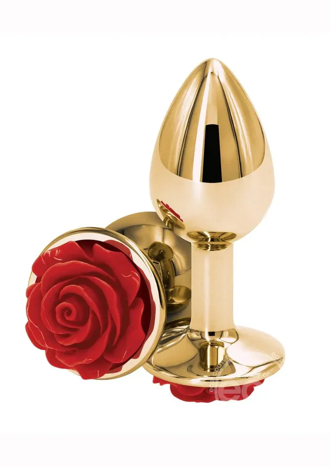 Anal Nice and nasty Bz Rear Assets Aluminum Anal Plug