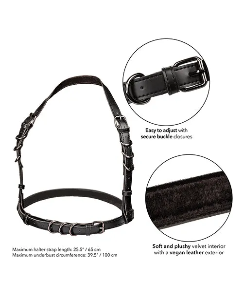 California Exotic Novelties Euphoria Collection Halter Buckle Harness Female Sex Toys