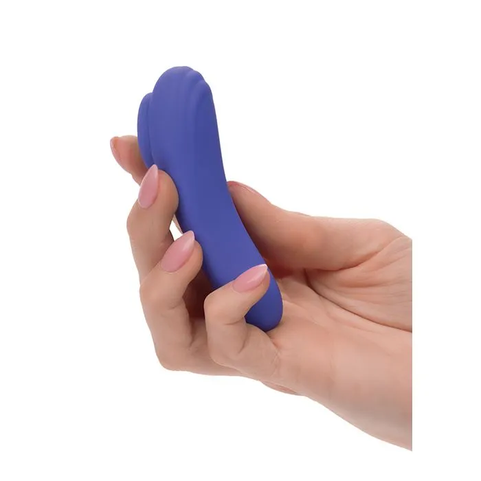 Female Sex Toys California Exotic Novelties Connect App Based Panty Teaser