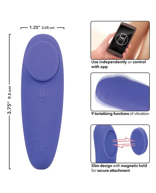 Female Sex Toys California Exotic Novelties Connect App Based Panty Teaser