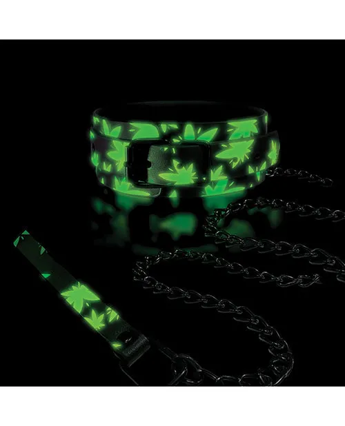 Global Novelties LLC Stoner Vibes Glow in the Dark Collar Leash Female Sex Toys