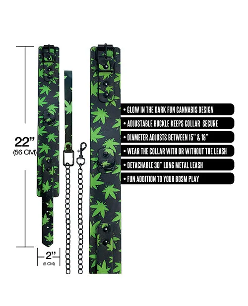 Global Novelties LLC Stoner Vibes Glow in the Dark Collar Leash Female Sex Toys