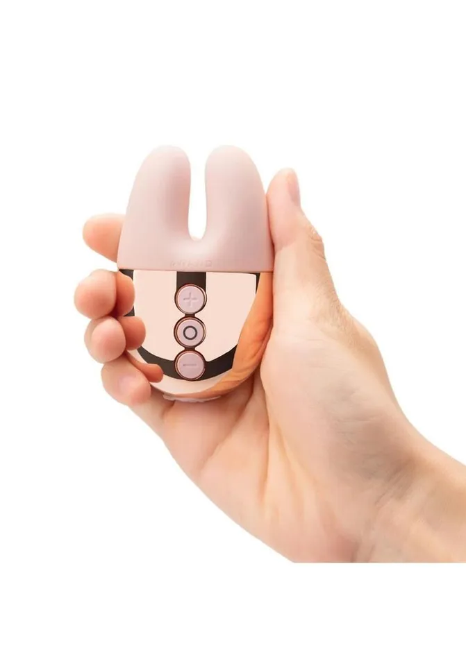 Le Wand Double Vibe Rechargeable Silicone Rabbit Vibrator Le Wand Female Sex Toys Le Wand Double Vibe Rechargeable Silicone Rabbit Vibrator Le Wand Female Sex Toys