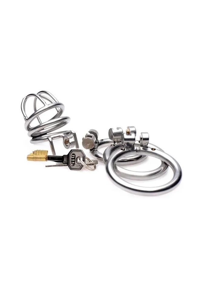 Master Series Male Sex Toys Master Series The Pen Deluxe Locking Chastity Cage