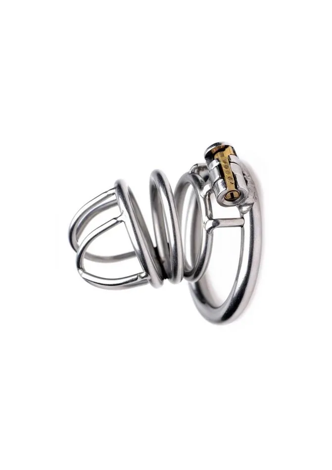 Master Series Male Sex Toys Master Series The Pen Deluxe Locking Chastity Cage