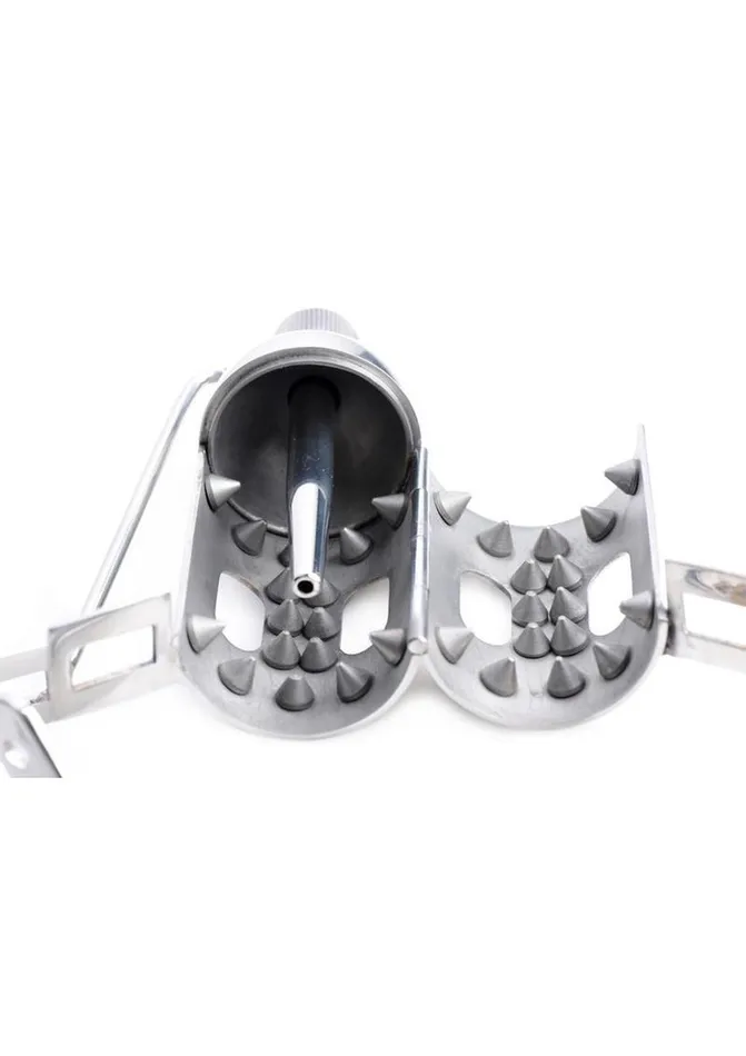 Master Series Spike Chamber Chastity Cage Stainless Master Series Male Sex Toys