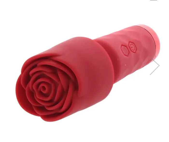 Nice and nasty Bz Vibrators Bloomgasm Pleasure Rose Mini Wand