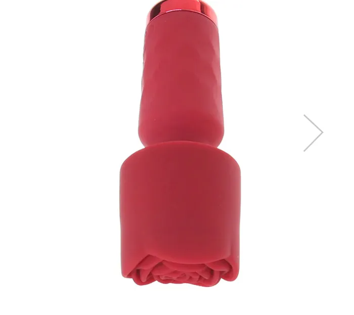 Nice and nasty Bz Vibrators Bloomgasm Pleasure Rose Mini Wand