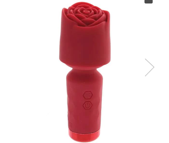 Nice and nasty Bz Vibrators Bloomgasm Pleasure Rose Mini Wand