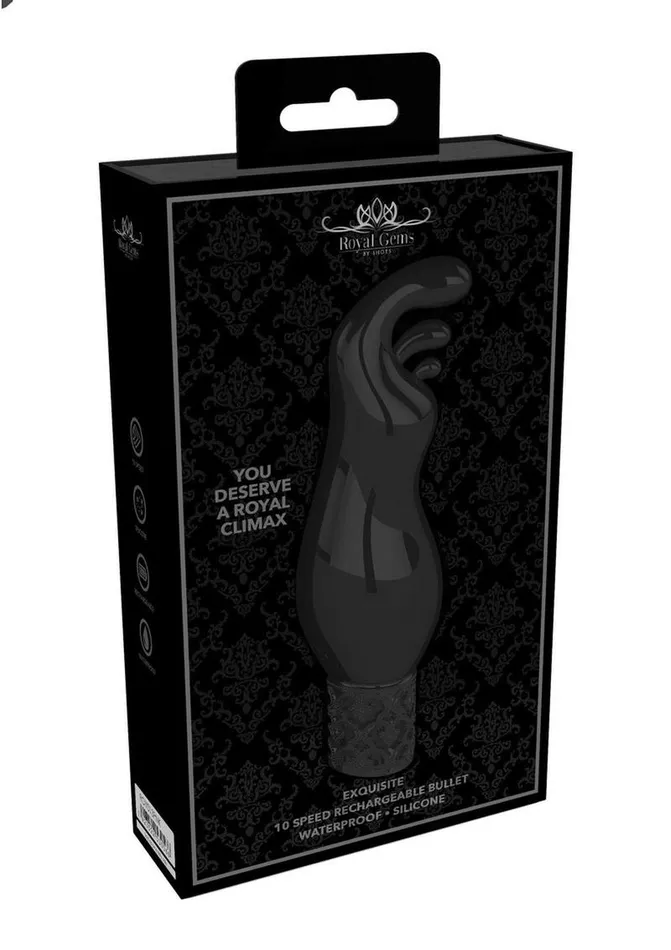 Royal Gems Female Sex Toys Royal Gems Exquisite Silicone Rechargeable Bullet